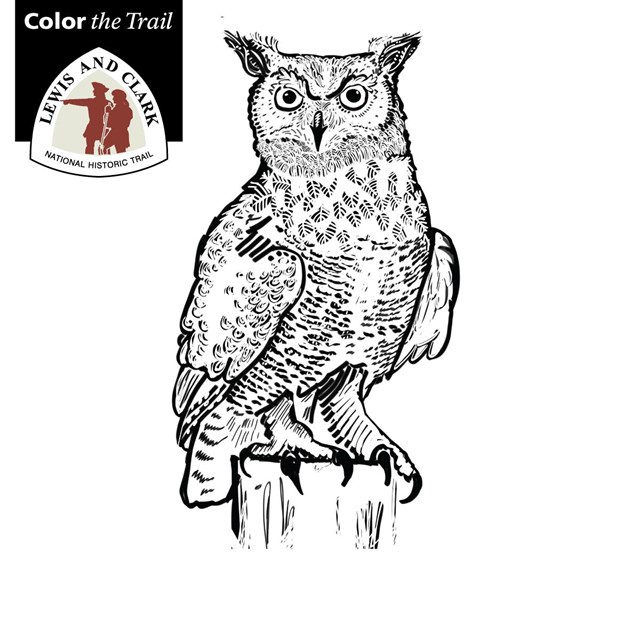 Color the trail animals of lewis and clark us national park service