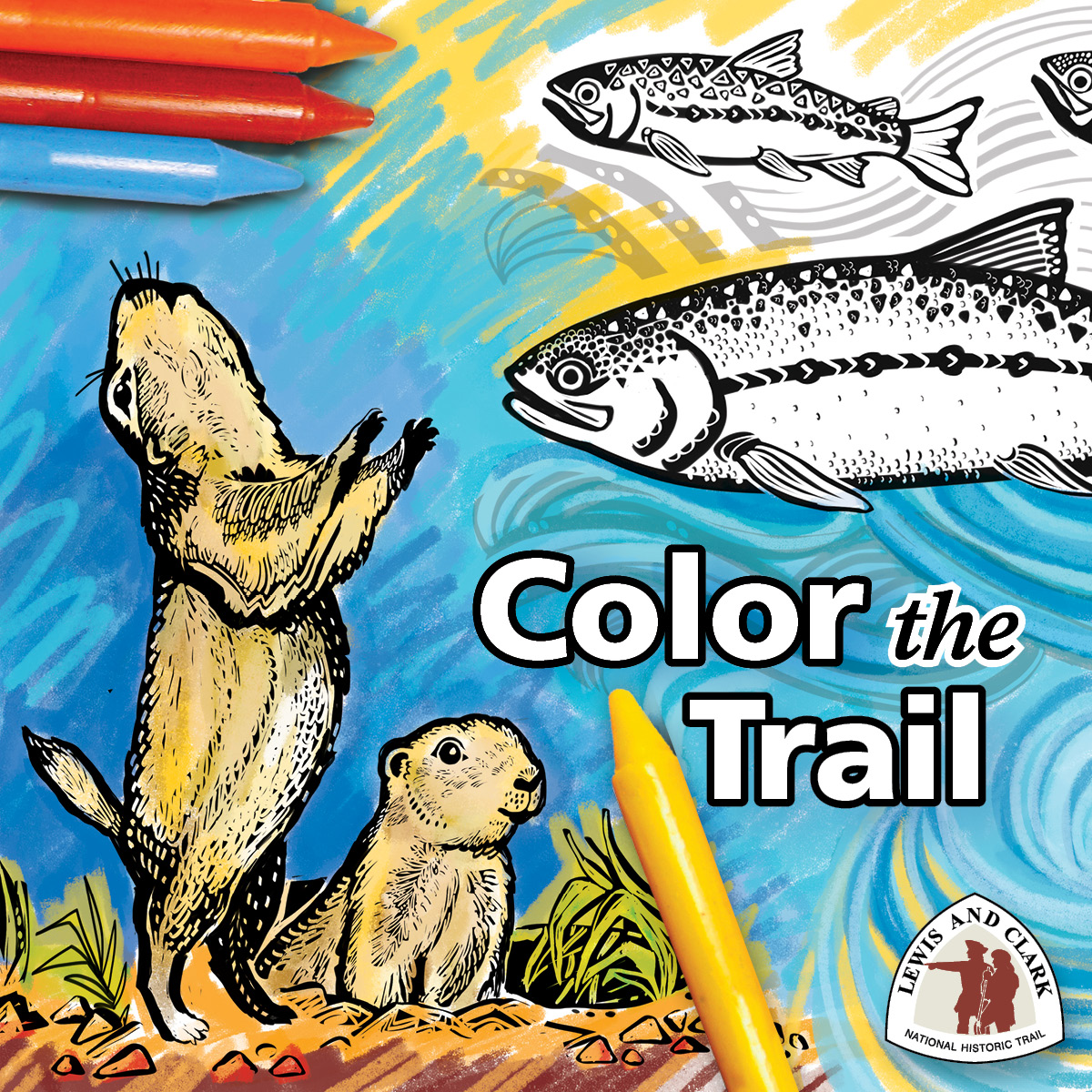 Color the trail animals of lewis and clark us national park service