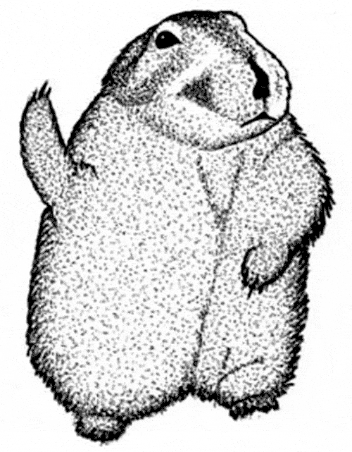 Lemming coloring page
