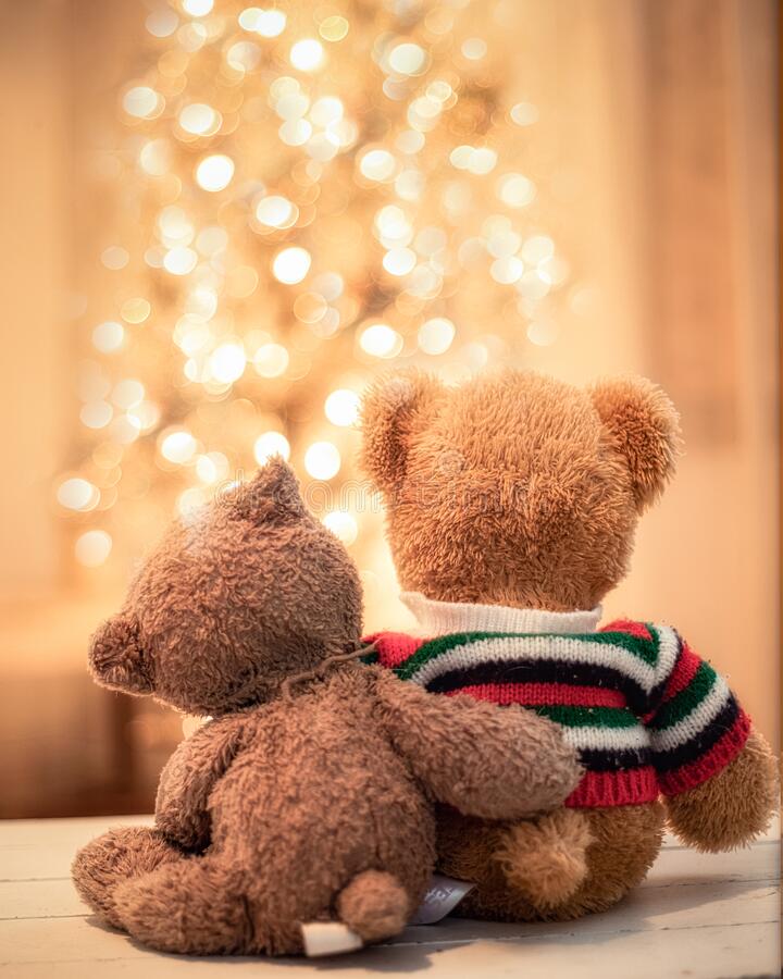 Two teddy bears front of christmas tree stock image