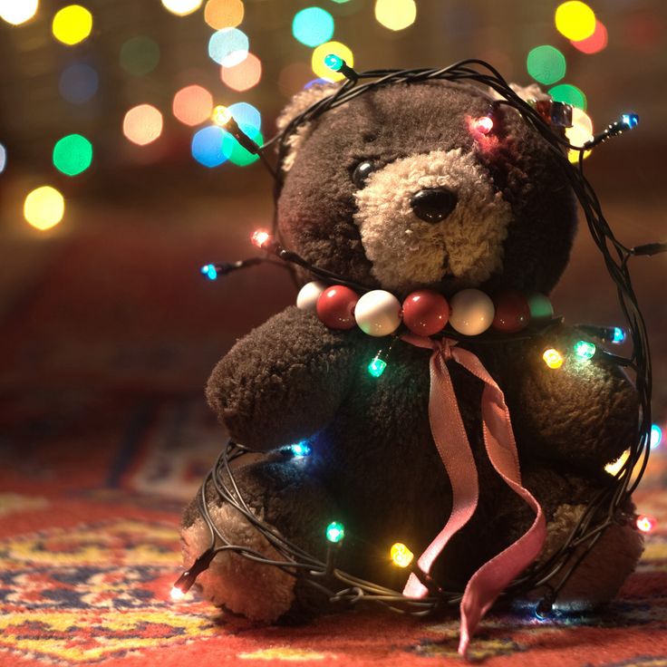 Cute teddy in lights christmas teddy bear teddy bear wallpaper christmas wallpaper hd