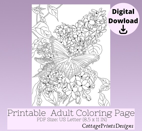 Butterflies on lilac printable adult coloring page butterfly adult coloring page botanical coloring page lilac coloring page