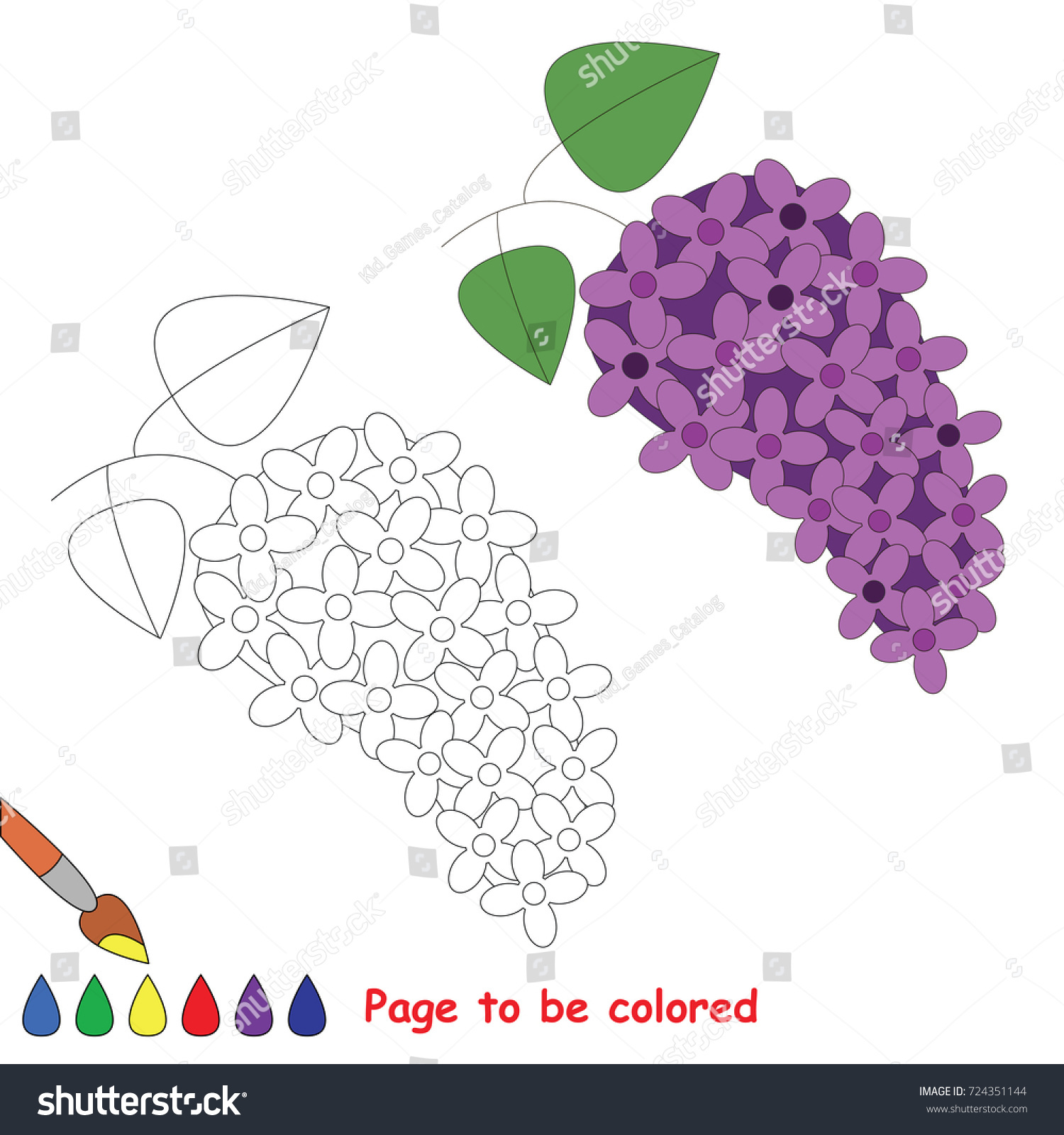 Lilac flower be colored coloring book stock vector royalty free