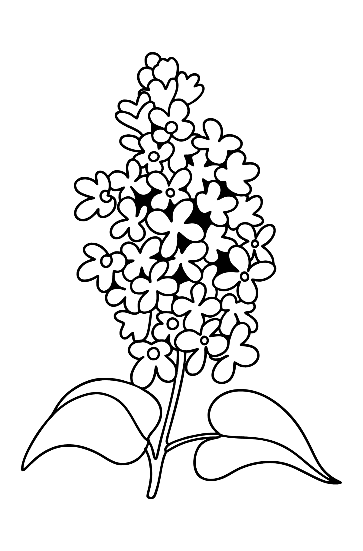 Lilac sprig coloring page â online and print for free
