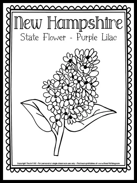 Free printable new hampshire state flower coloring page purple lilac â the art kit