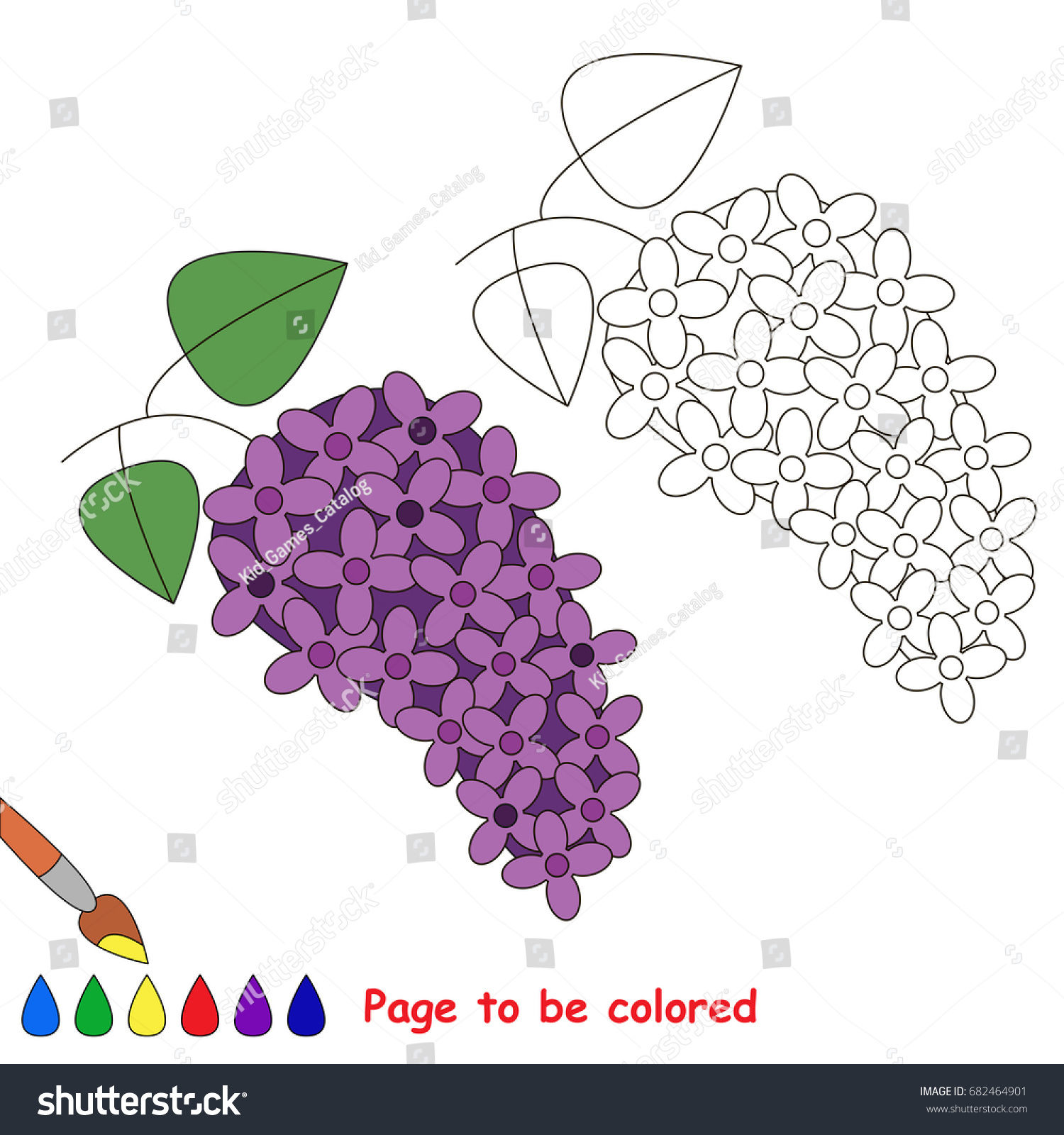 Violet lilac flower be colored coloring stock vector royalty free