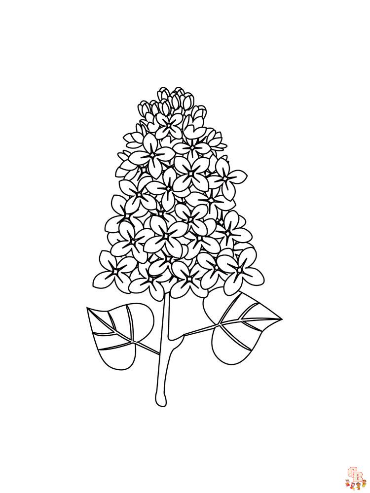 Enjoy the beauty of lilac with free printable lilac coloring pages