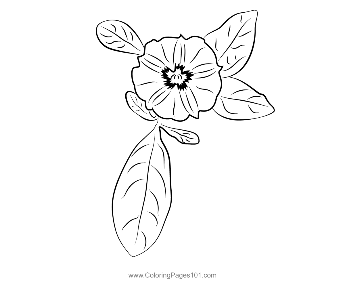 Single lilac flower with leaf coloring page for kids