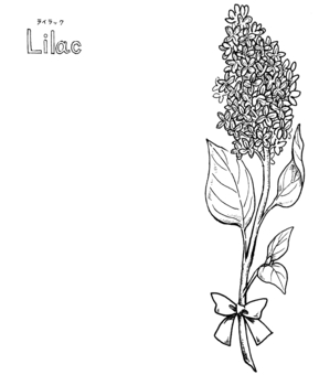 Free vectors one lilac line drawing