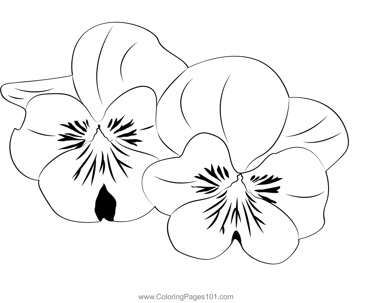 Lilac coloring page for kids