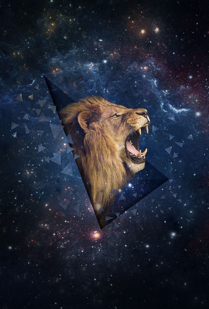 Lion galaxy iphone s wallpaper wallpaper space space background iphone