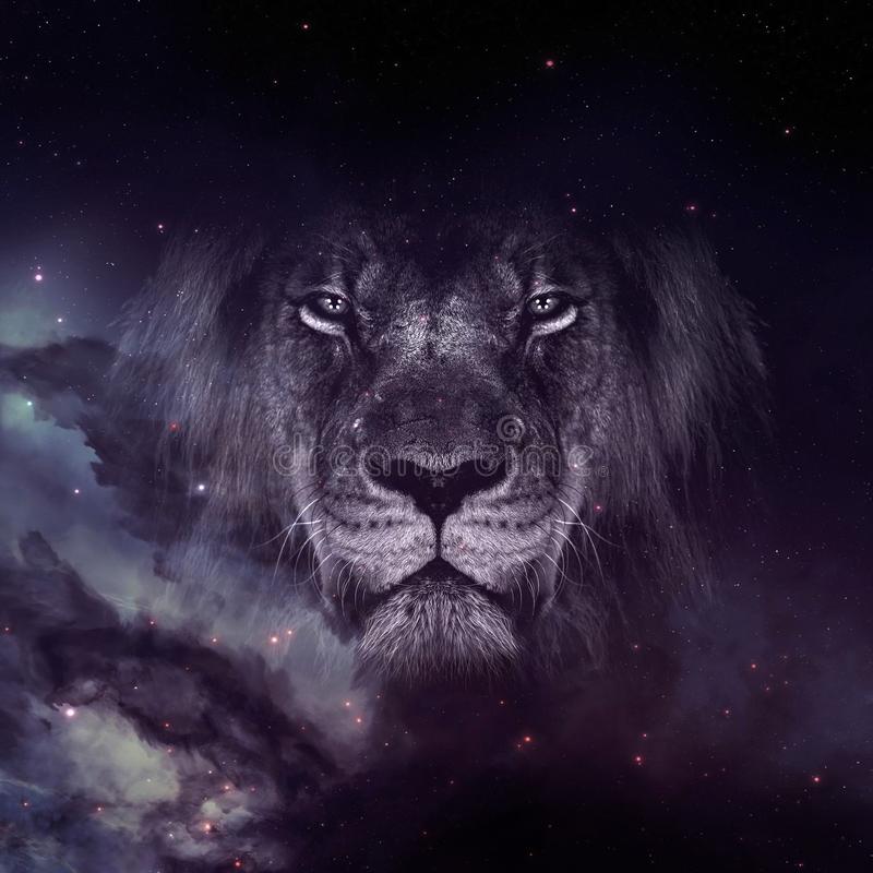 Lion face on galaxy wallpaper stock photo