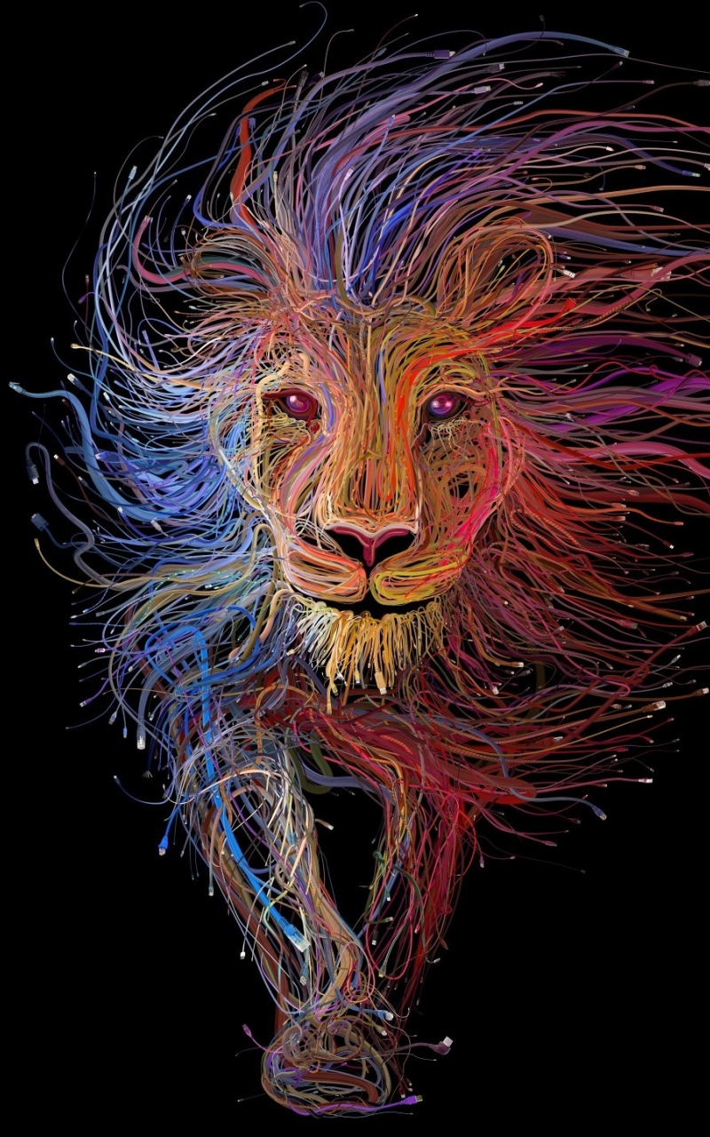 Download wallpaper x digital art cables lion colorful samsung galaxy note gt