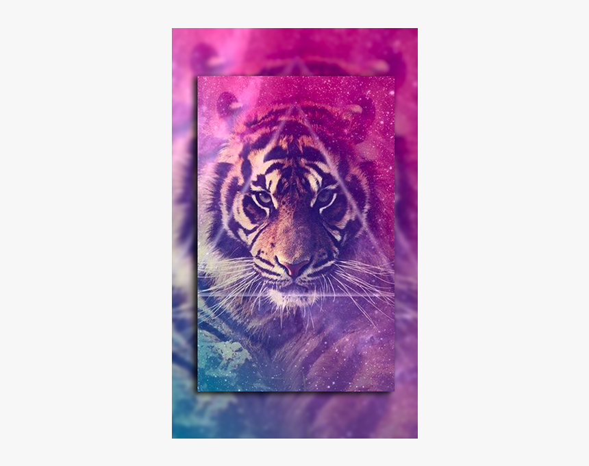 Lion wallpaper galaxy hd png download transparent png image