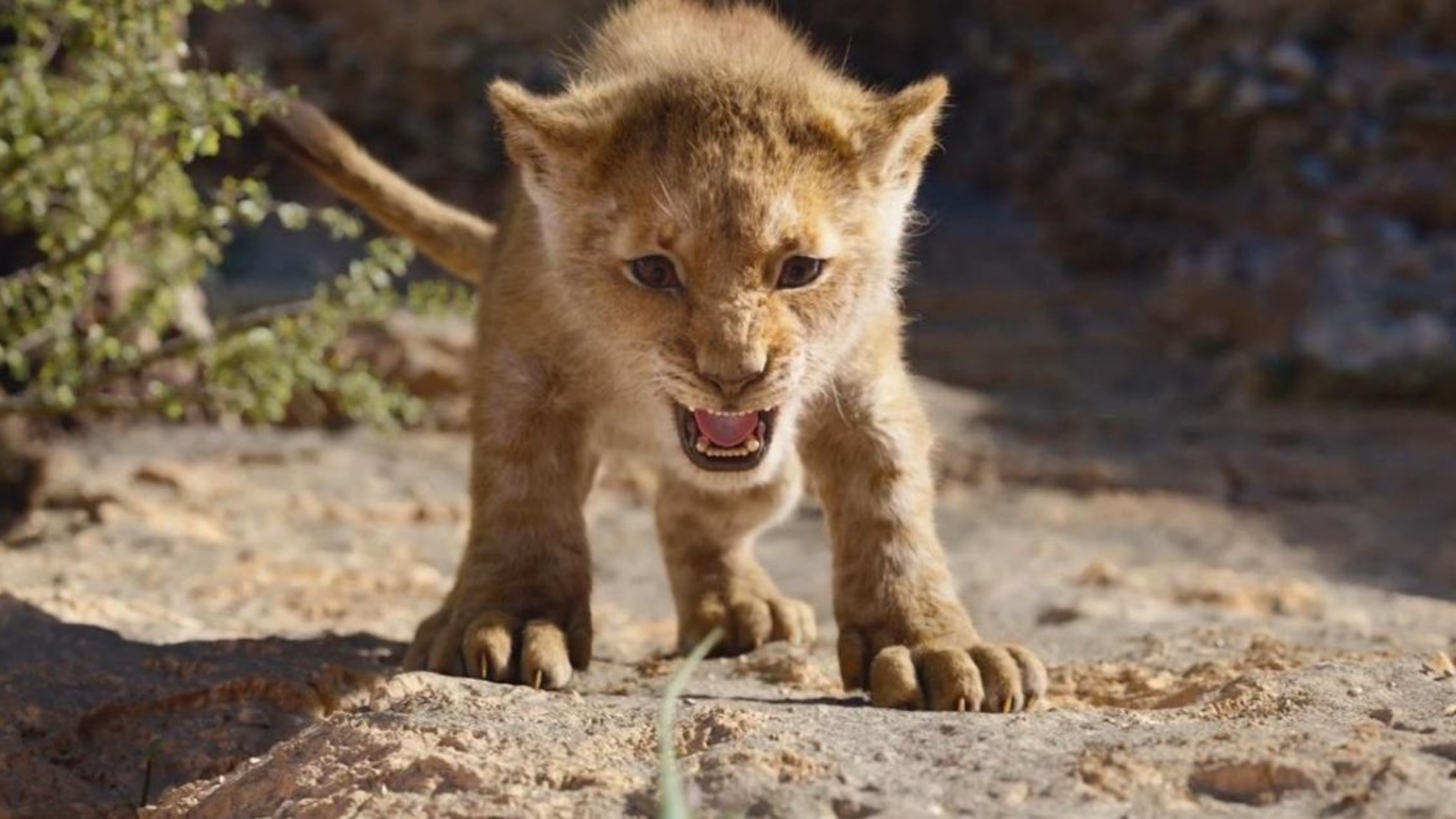 New clips for the lion king include circle of life find your roar âhakuna matataâ parison and more â