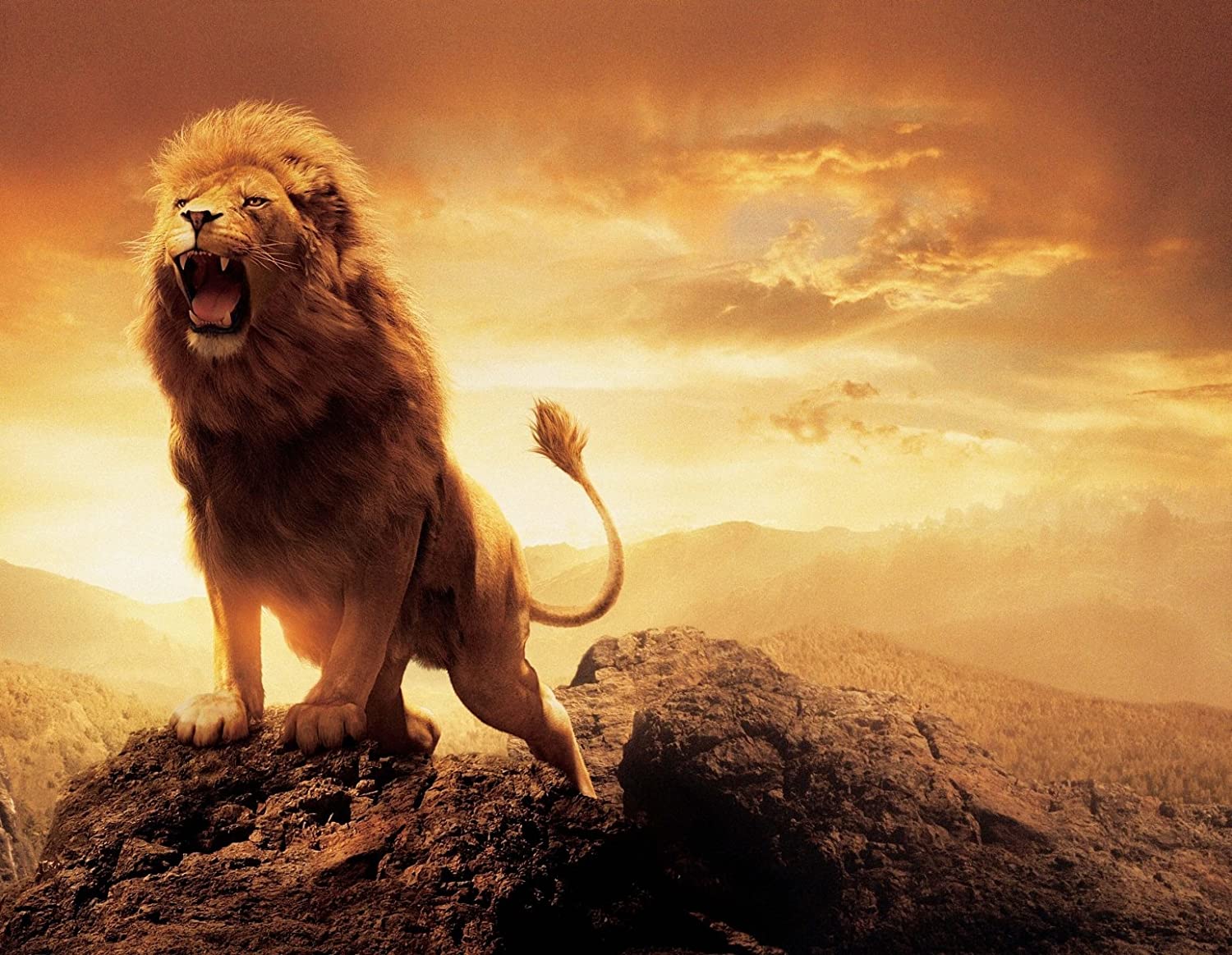 Stukk lion king roar print picture art poster