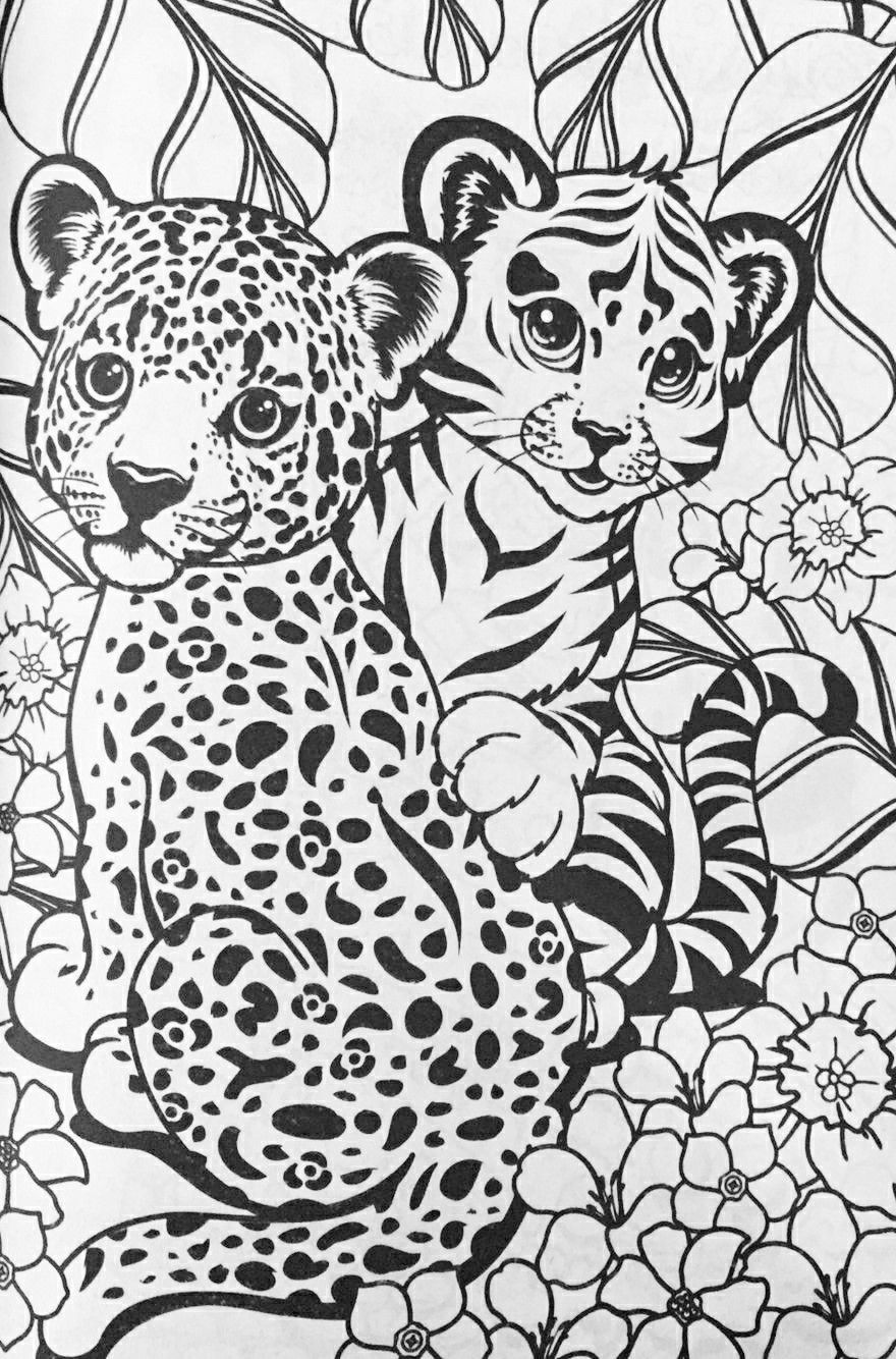Cheetah coloring pages dfdeabacdcbbeef