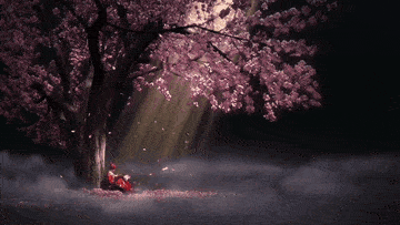 Best sakura tree live wallpaper gifs