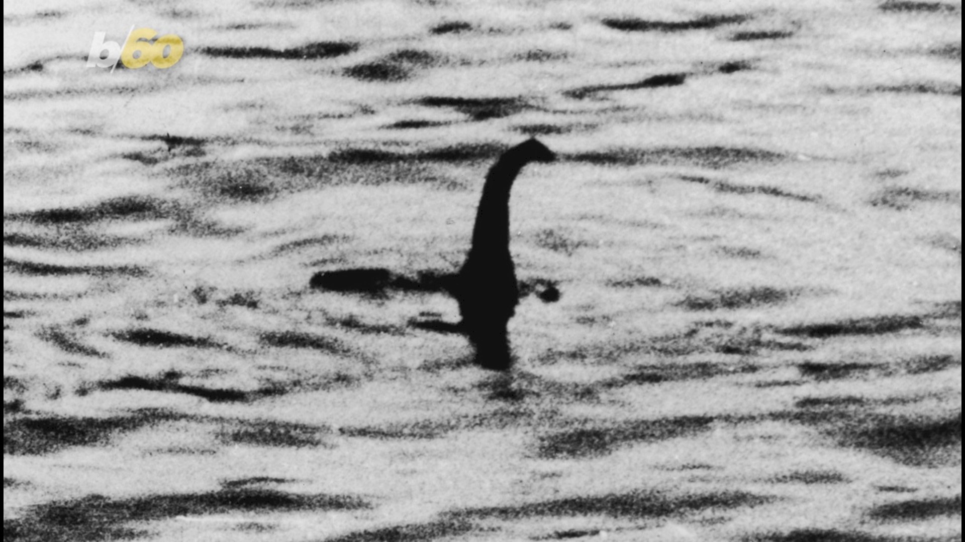 Researchers reveal plausible loch ness monster theory
