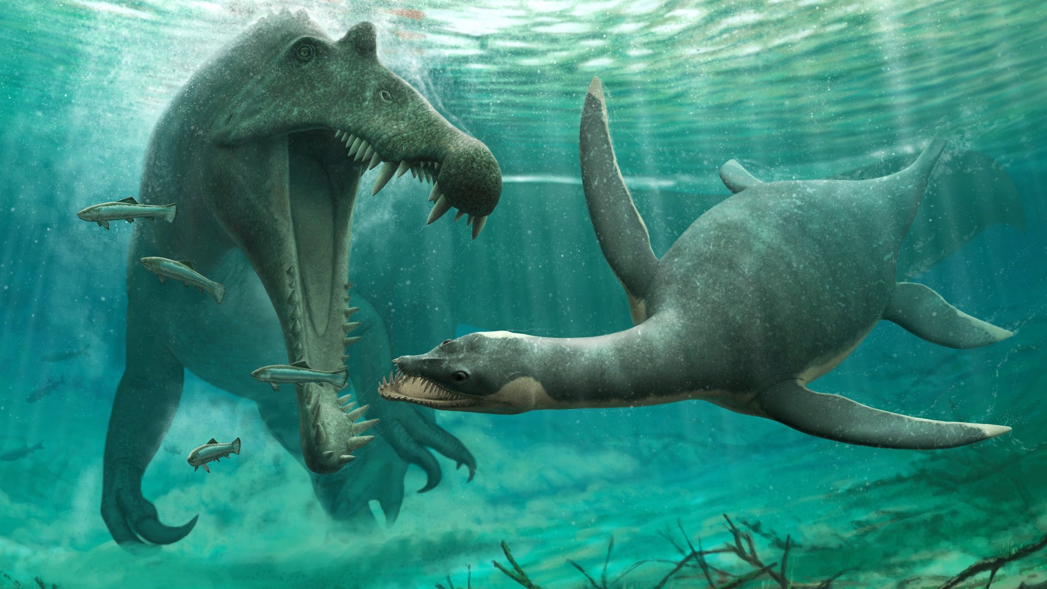 African fossils show monster could have lived in loch ness