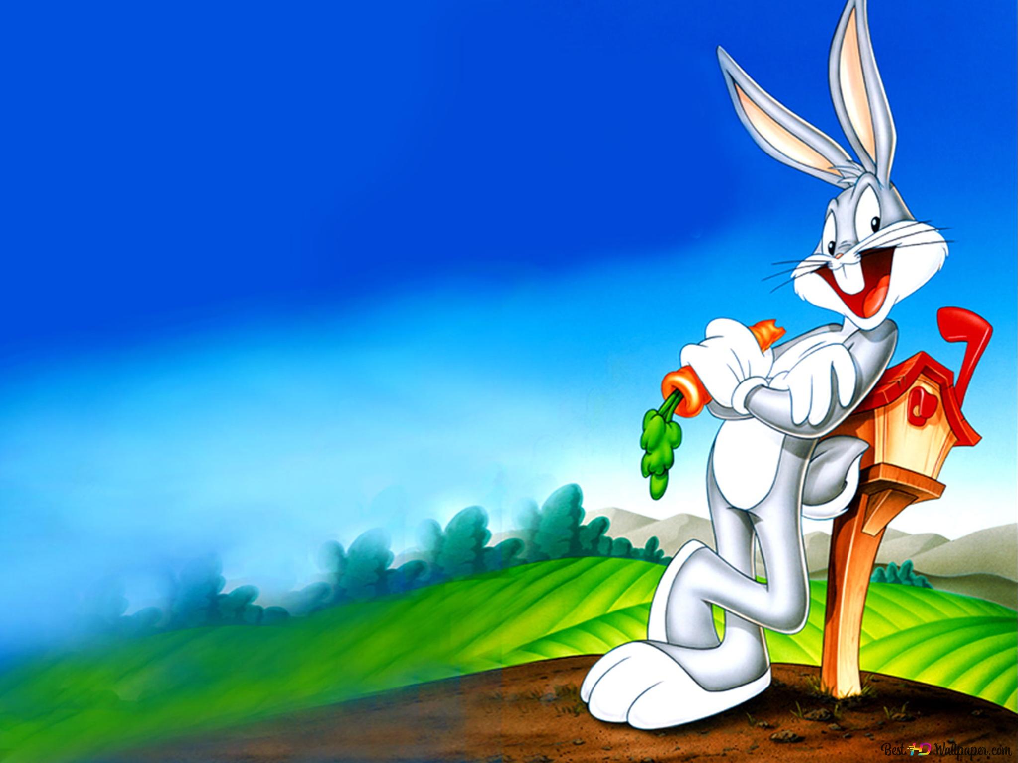 Looney tunes bugs bunny cartoons k wallpaper download