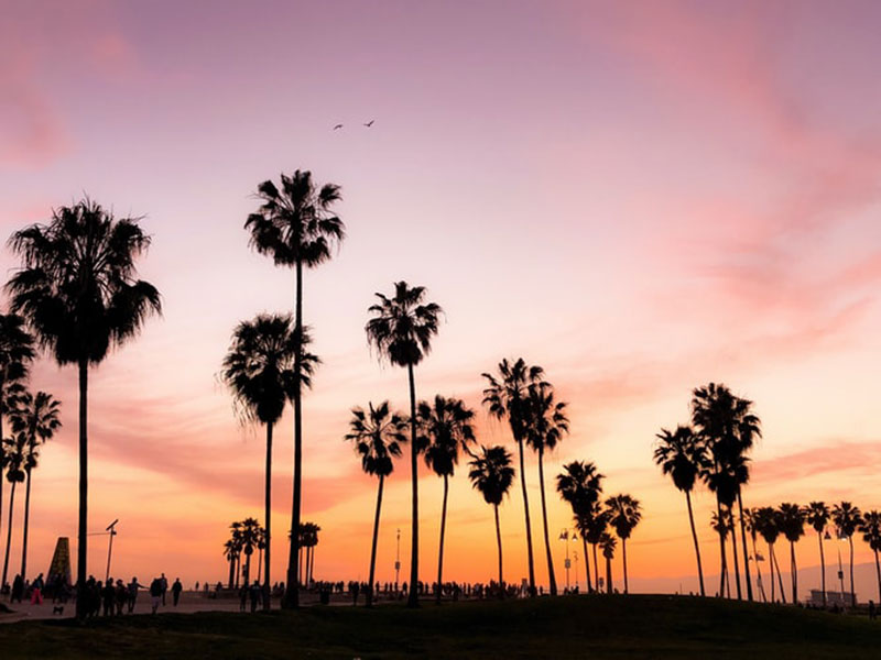 Cool los angeles wallpaper options to put on your desktop background
