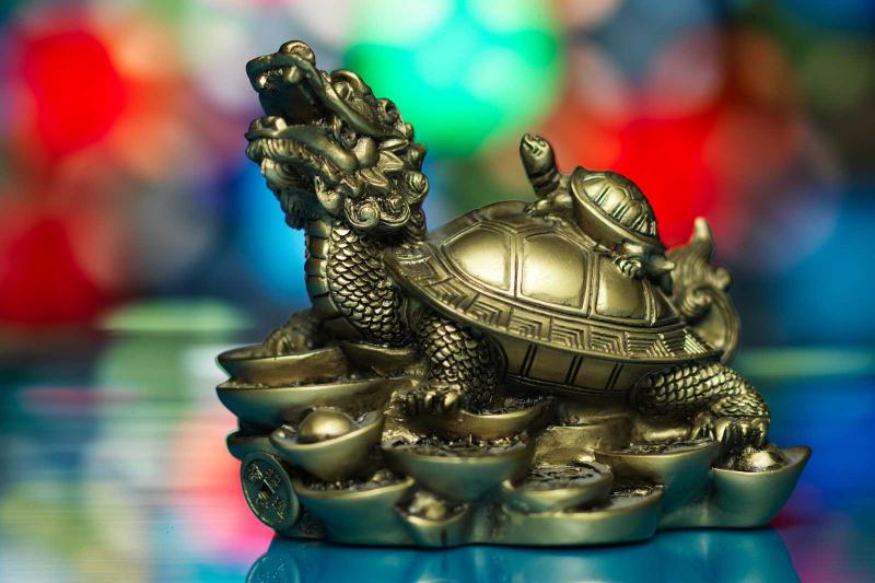 Are turtles good luck in feng shui