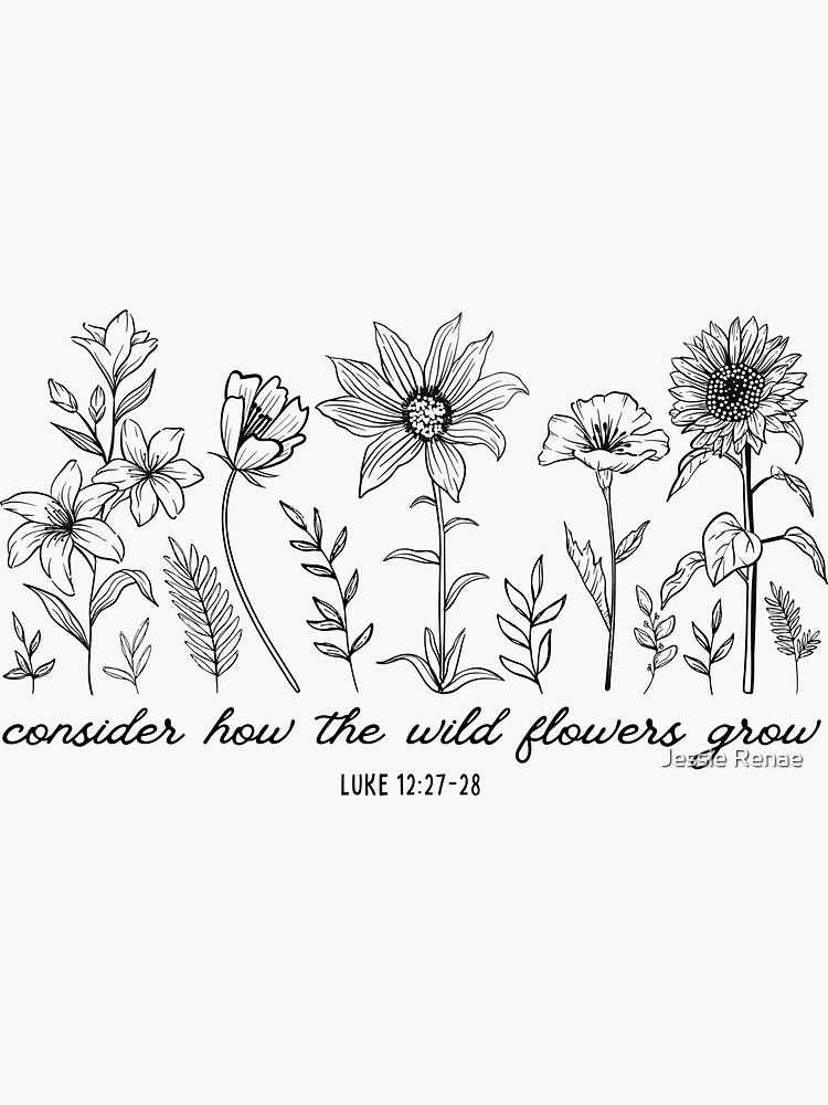 Consider how the wildflowers grow