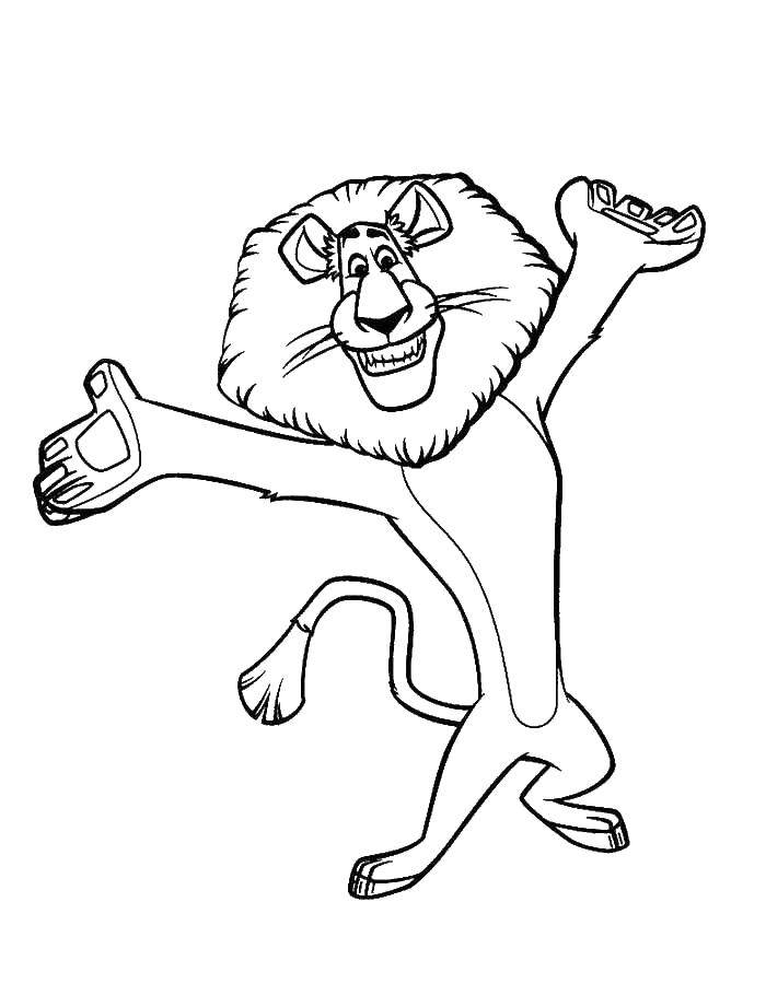 Online coloring pages madagascar coloring pages for kids