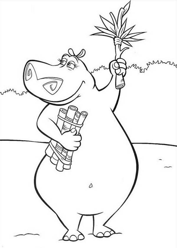 Gloria the hippo in madagascar coloring page lion coloring pages coloring pages dog coloring book