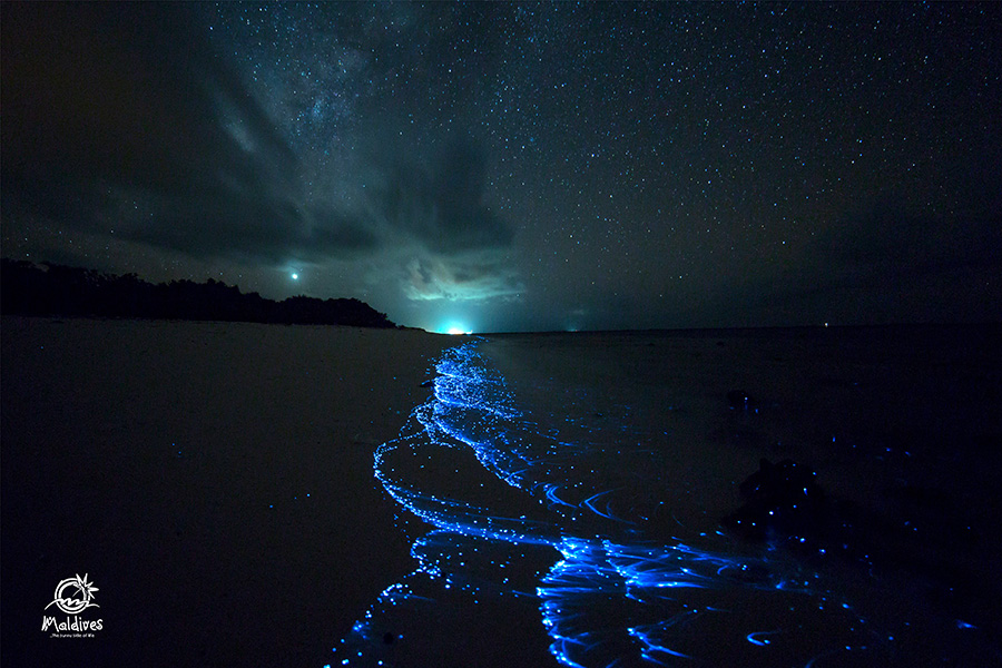 Glowing beach in maldives free desktop wallpaper maldives background image