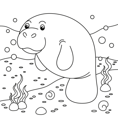Cute manatee coloring page free printable coloring pages