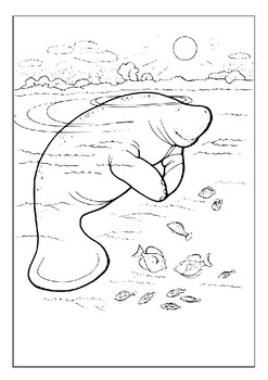 Explore marine wonders printable manatee coloring pages for kids pages