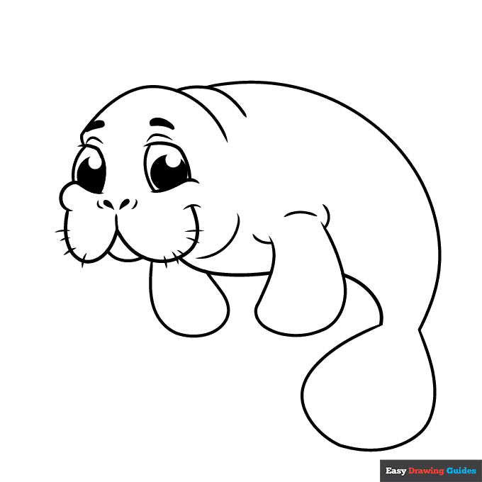 Manatee coloring page easy drawing guides