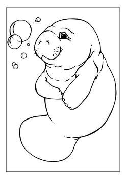 Discover sea creatures manatee coloring sheets for educational fun for kids