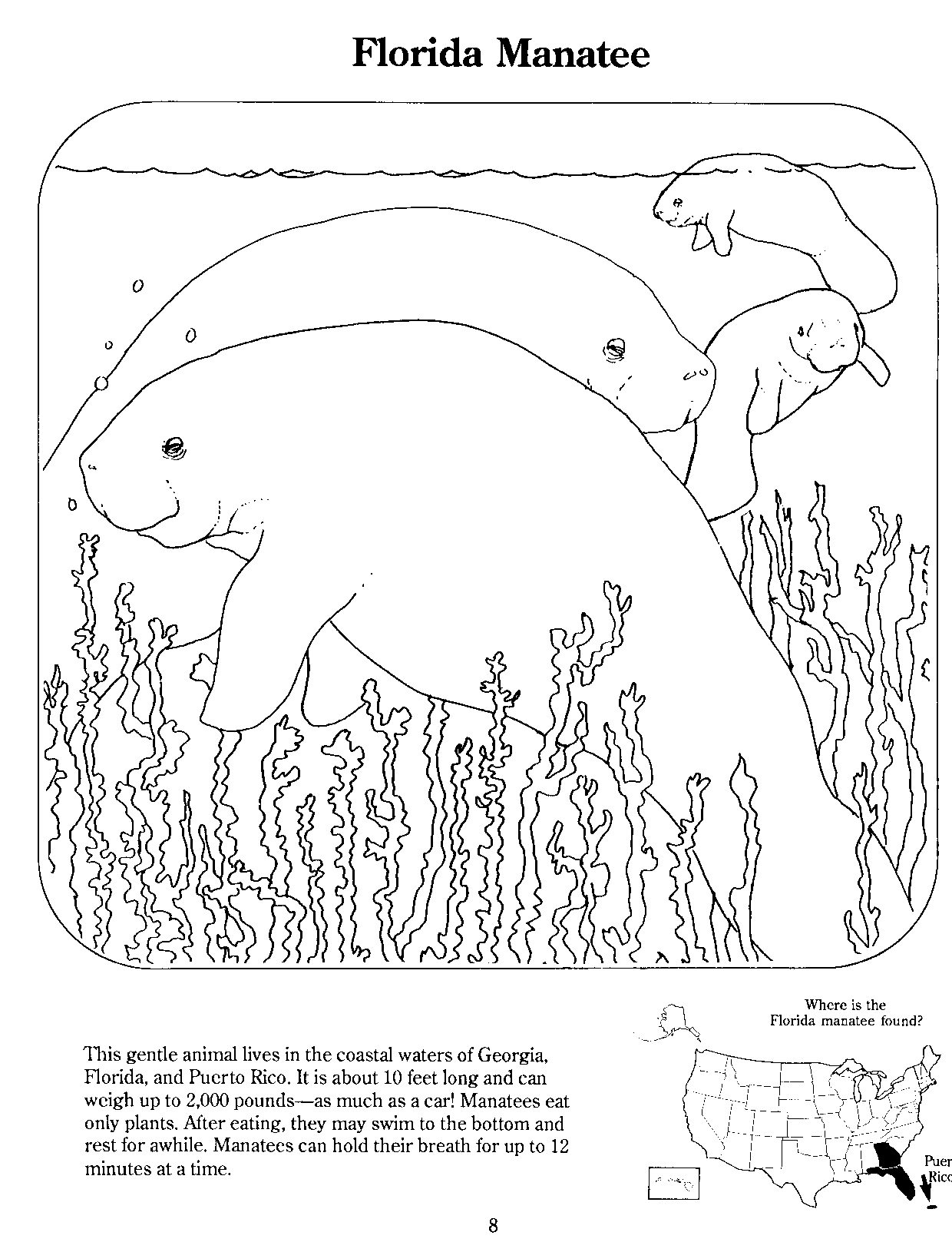 Filemanatee page from coloring bookgif
