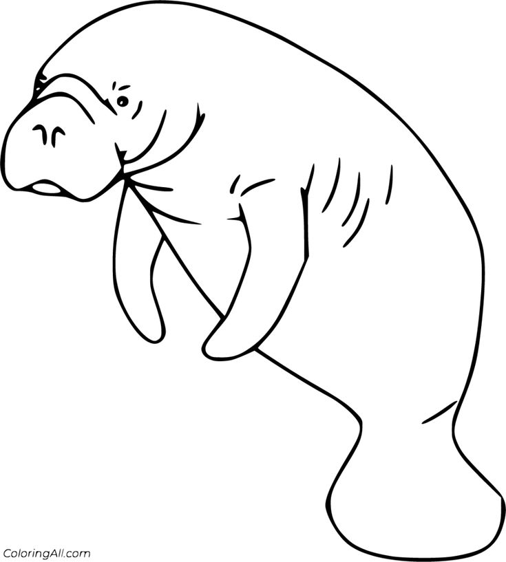 Free printable manatee coloring pages in vector format easy to print from any device and automâ coloring pages adult coloring pages printable coloring pages