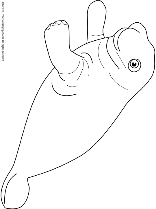 Manatee coloring page audio stories for kids free coloring pages colouring printables