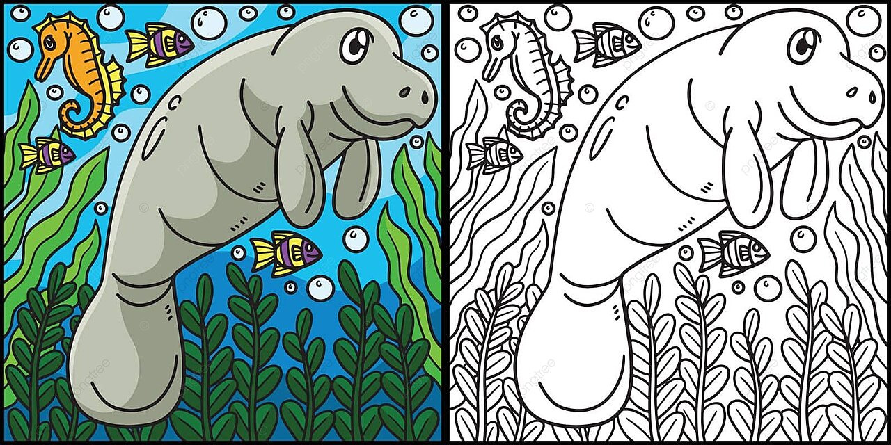Manatee coloring page colored illustration filled color zoo clip art vector filled color zoo clip art png and vector with transparent background for free download