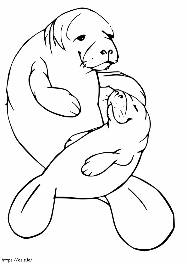 Manatee coloring coloring pages
