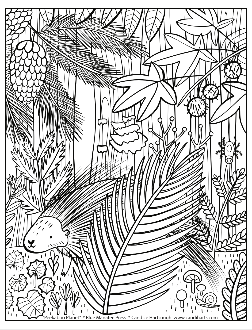 Coloring pages â blue manatee press