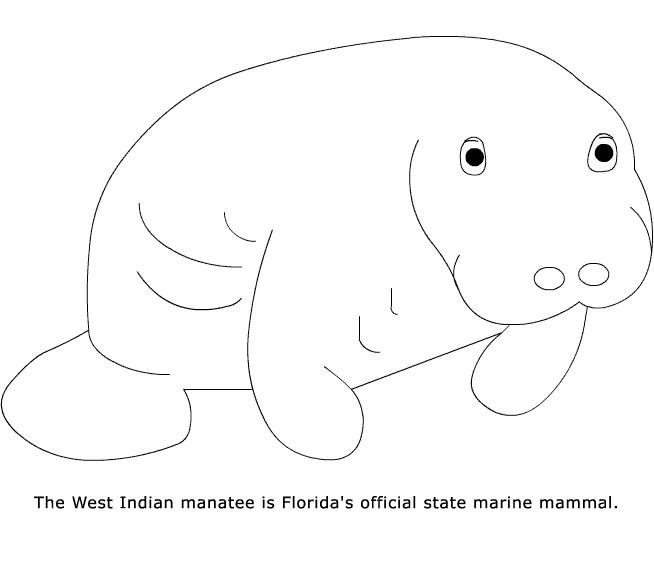 Manatee coloring page