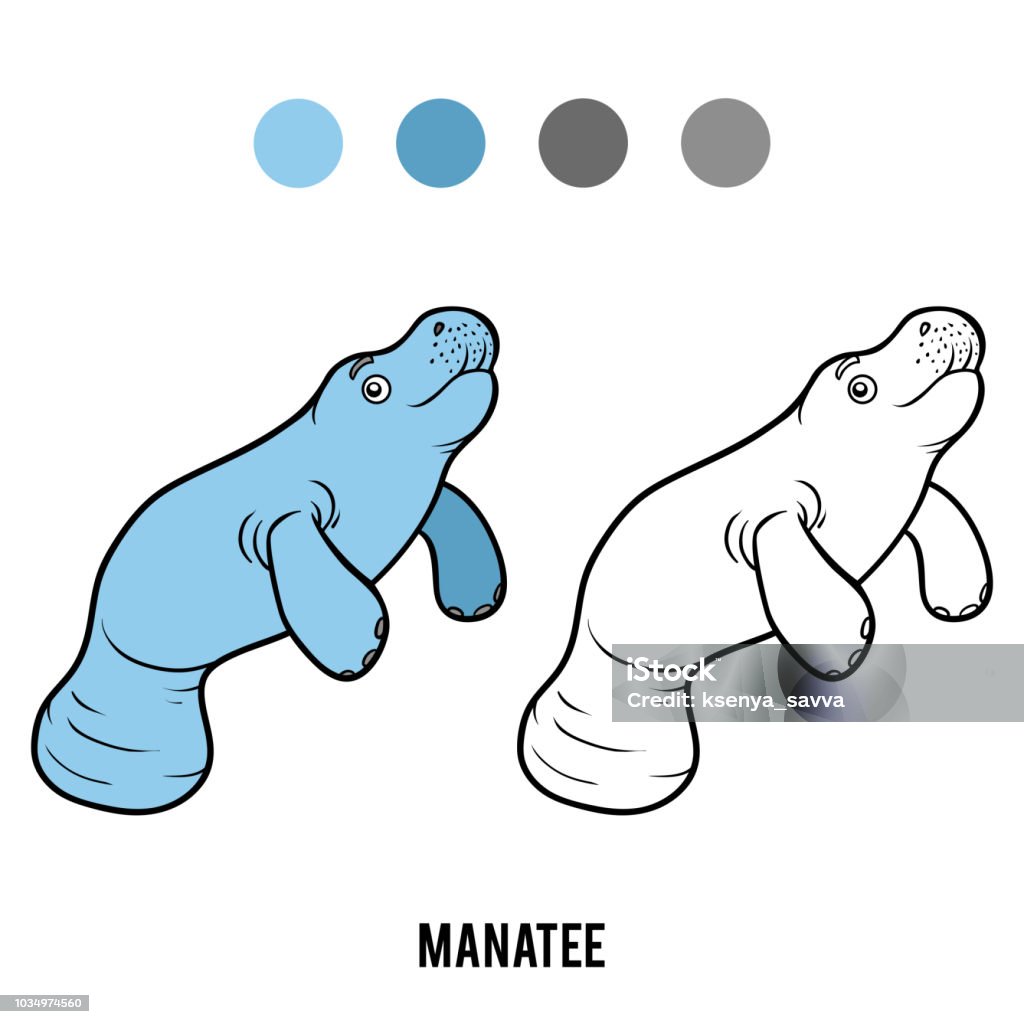 Coloring book manatee stock illustration