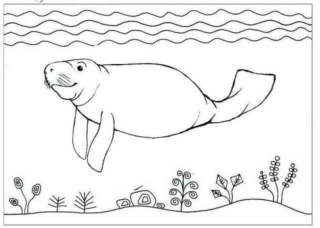 Fantastic manatee coloring pages for children animal coloring pages coloring pages manatee pictures
