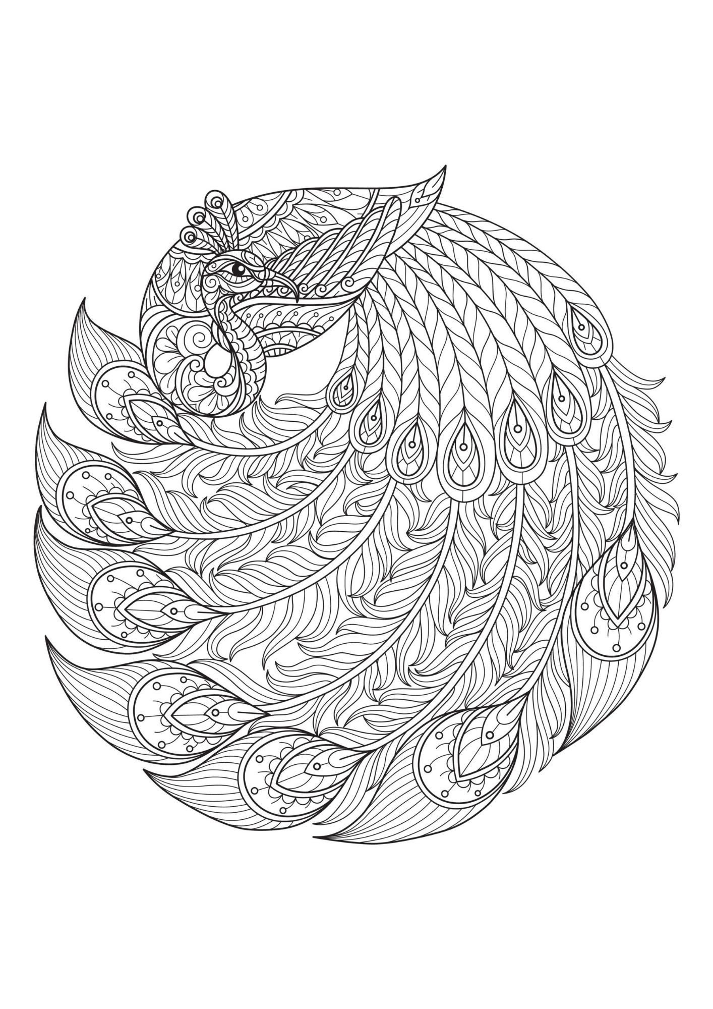 Mandala animal and insect coloring pages for adult coloring book svg