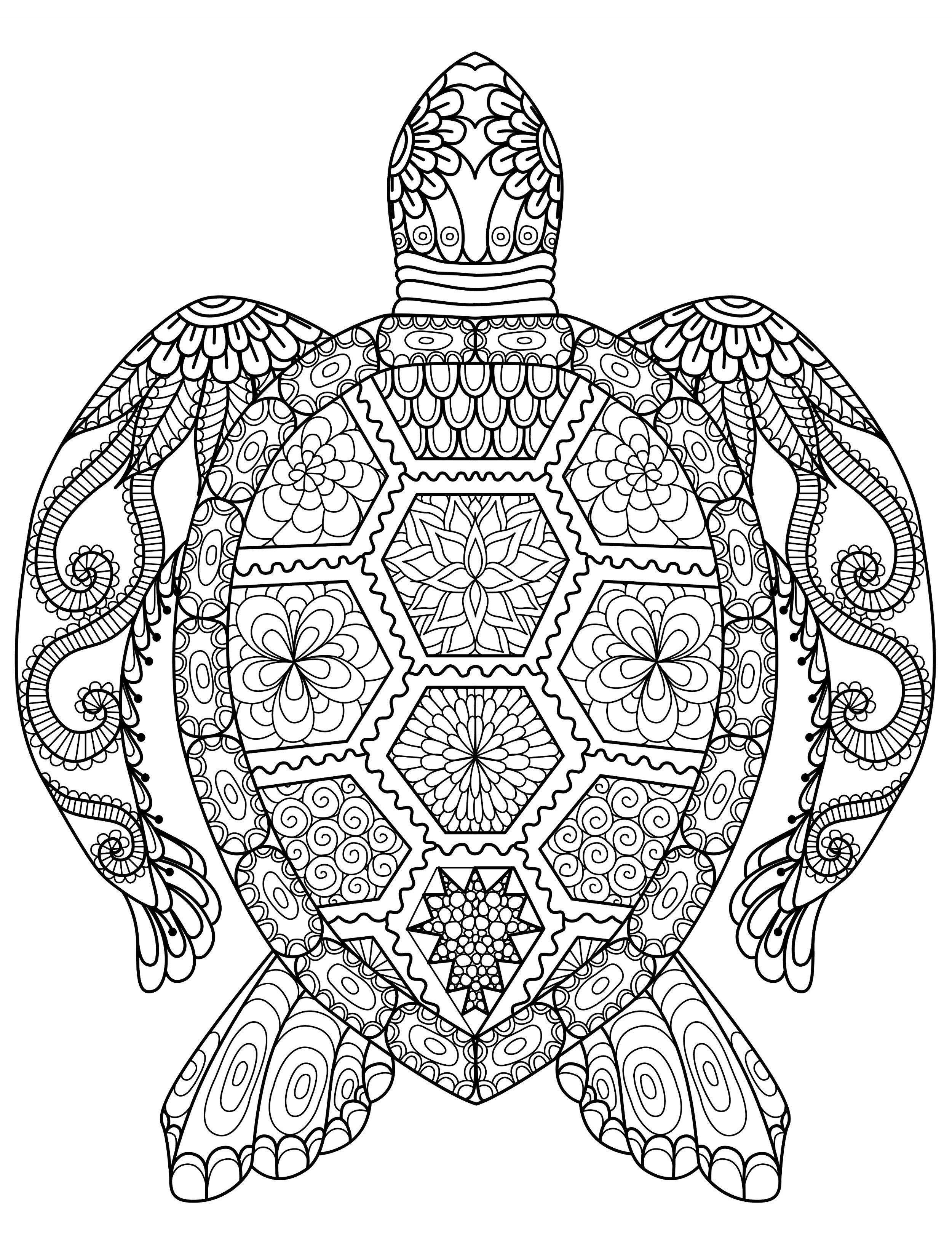 Animal mandala coloring pages â through the thousand images on the web with regarâ turtle coloring pages free printable coloring pages free adult coloring pages