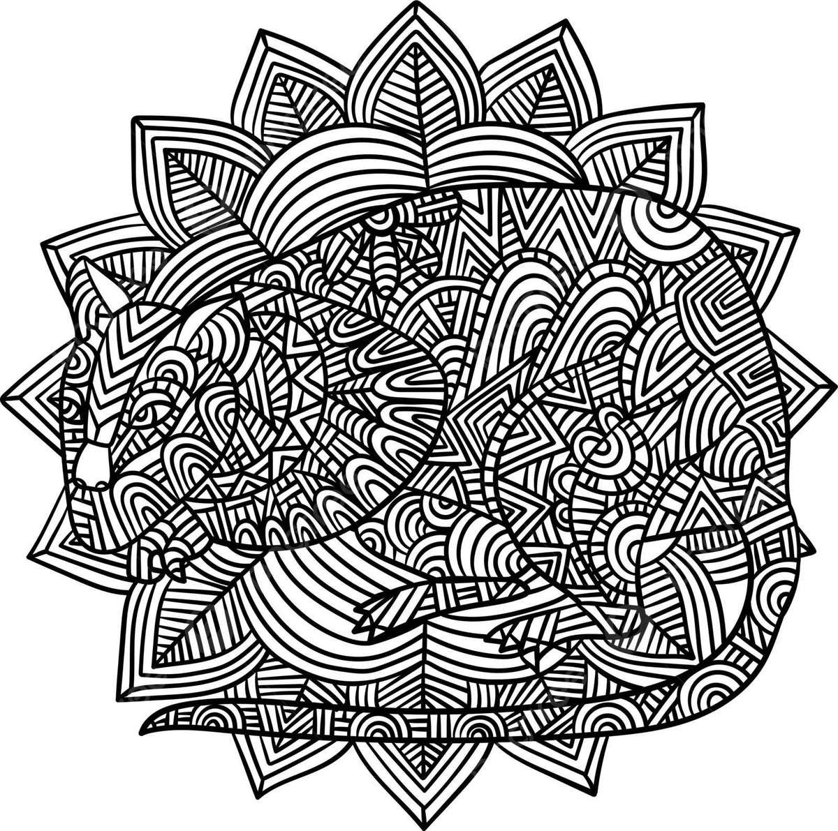 Rat mandala coloring pages for adults animal coloring page illustration vector animal coloring page illustration png and vector with transparent background for free download