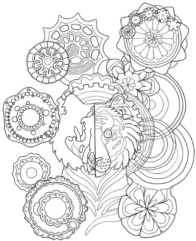 Tiger mandala coloring page for adults