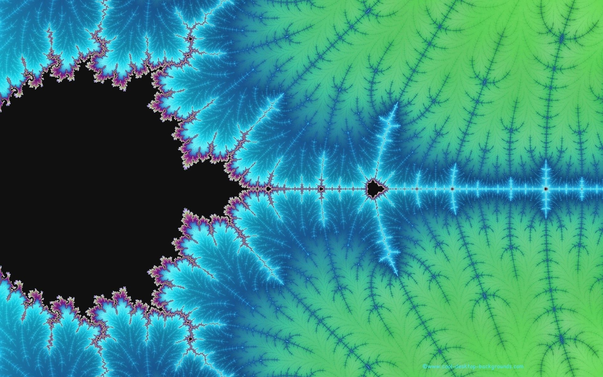 Mandelbrot fractal wallpaper fractals mandelbrot fractal nature design
