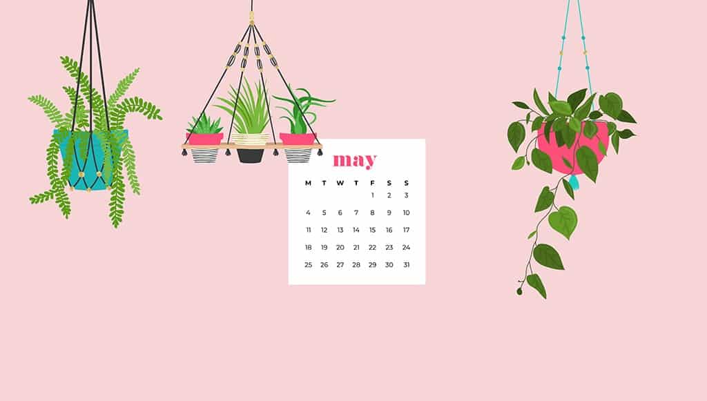 Free may wallpapers for desktops and smart phones